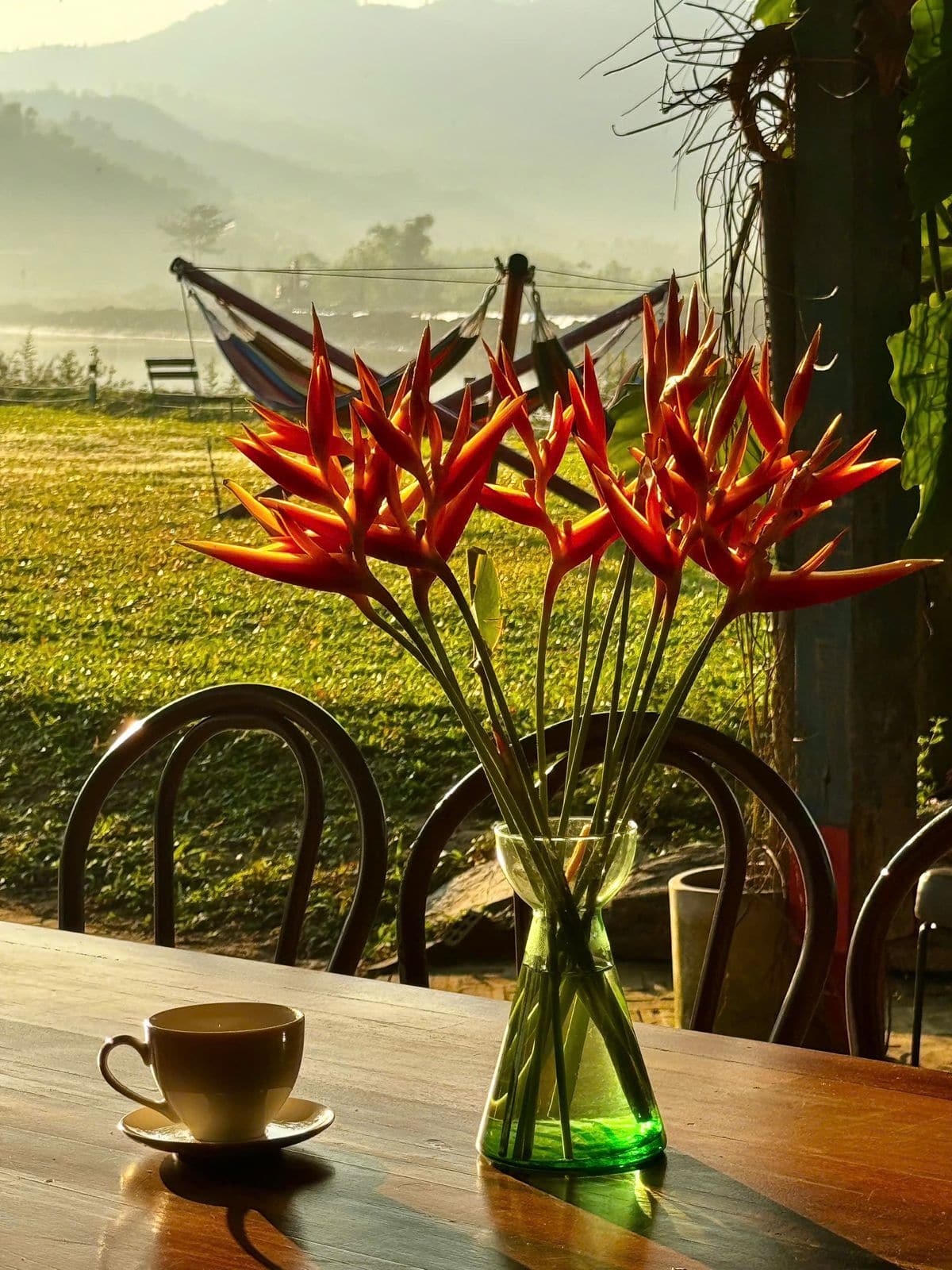Cup of tea and heliconia flowers on a wooden table with misty mountains behind